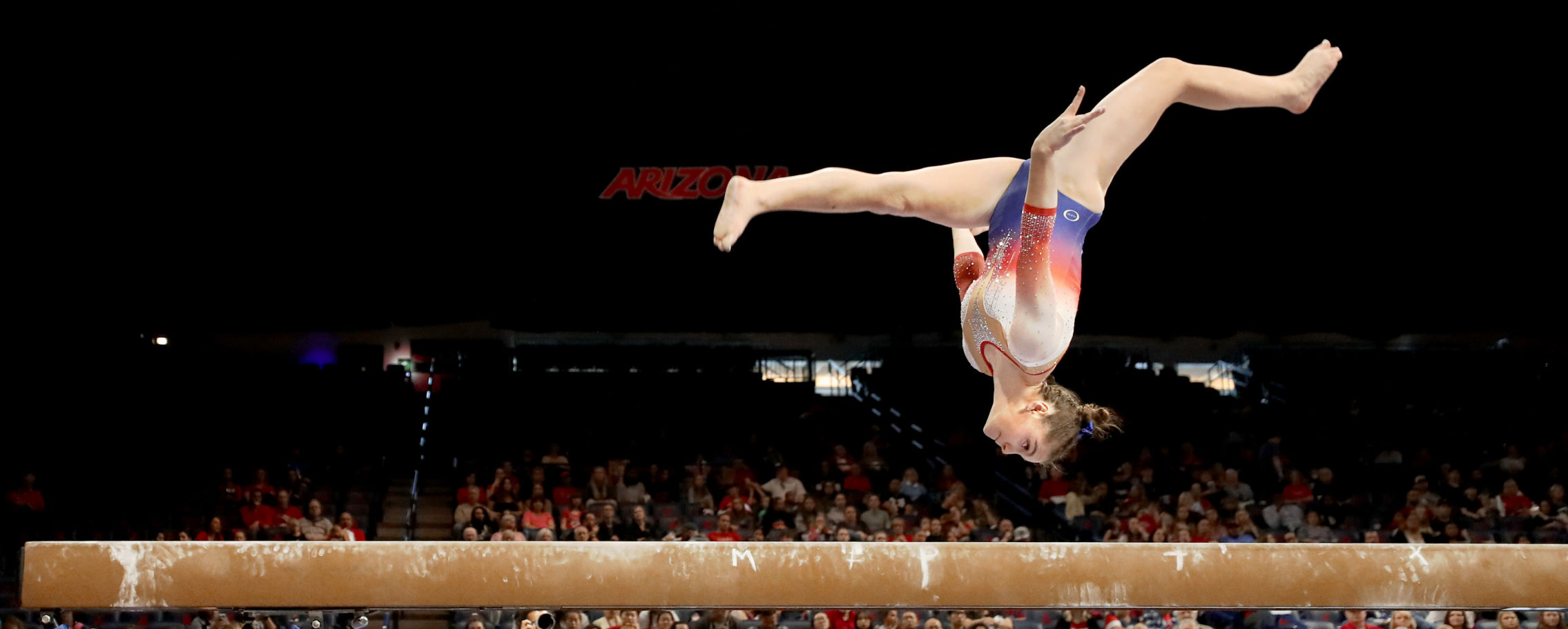 GymCats vs Utah